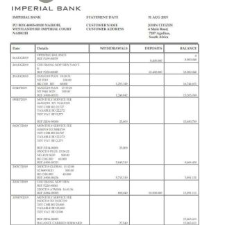 South Africa Imperial Bank statement easy to fill template in Word and PDF format download template file