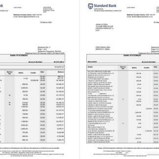 South Africa Standard bank statement 6 pages download template file