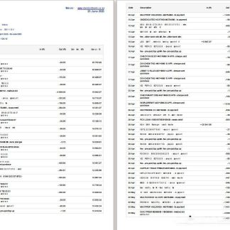 South Africa Standard Bank statement Word and PDF download template file