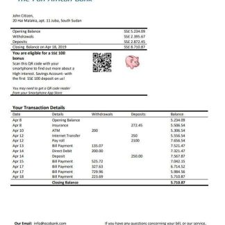 South Sudan Ecobank bank statement download template file