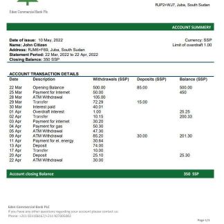 South Sudan Eden Commercial Bank statement download template file