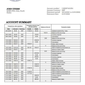 South Sudan Ivory Bank statement download template file