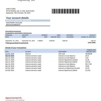 South Sudan Opportunity Bank statement template in Word and PDF format download template file