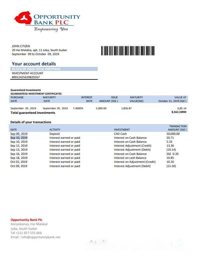 South Sudan Opportunity Bank statement template in Word and PDF format download template file