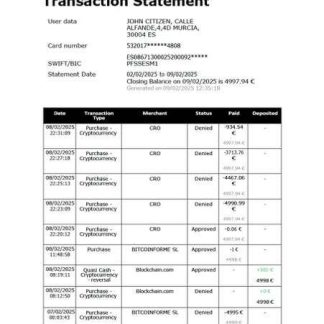 Spain Rebellion Pay transaction statement Word and PDF template download template file