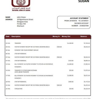 Sudan National Bank of Sudan bank statement template in Word and PDF format download template file