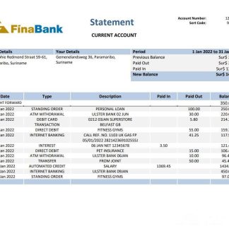 Suriname Finabank statement download template file