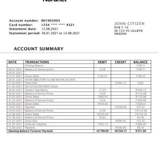 Sweden Nordnet AB bank statement easy to fill template in .doc and .pdf format, fully editable download template file