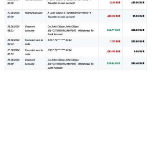 Switzerland Swiss National Bank SNB account statement, 3 pages 2 download template file