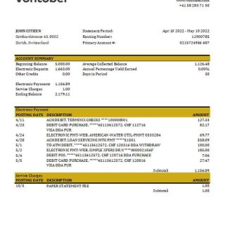 Switzerland Vontobel bank statement, Excel and PDF template download template file