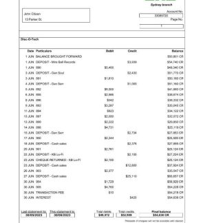 Sydney ZNZ bank statement Word and PDF template scr download template file