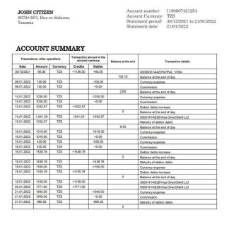 Tanzania Access Bank statement download template file
