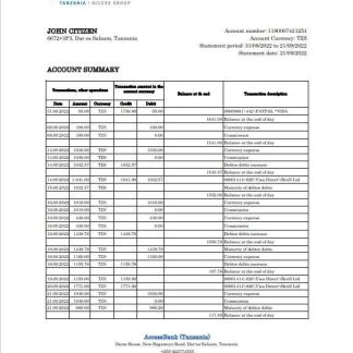 Tanzania Access bank statement, Excel and PDF template download template file