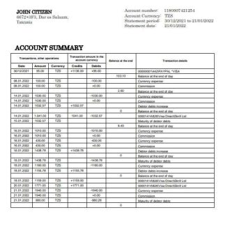 Tanzania Access Bank statement template in Word and PDF format download template file