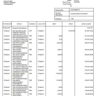 Tanzania CRDB bank statement 3 ?C 6 months Word and PDF example download template file