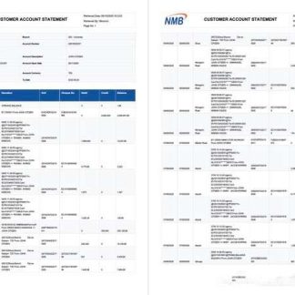 Tanzania NMB Bank account statement Word and PDF template, 2 pages download template file