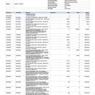 Tanzania NMB Bank account statement Word and PDF template download template file