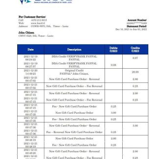 Timor Leste BNCTL bank statement download template file