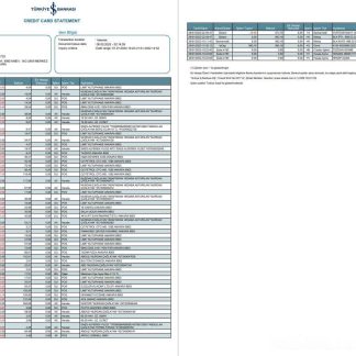 Turkey Bankasi bank statement 2 pages download template file