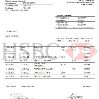 Turkey HSBC bank statement download template file