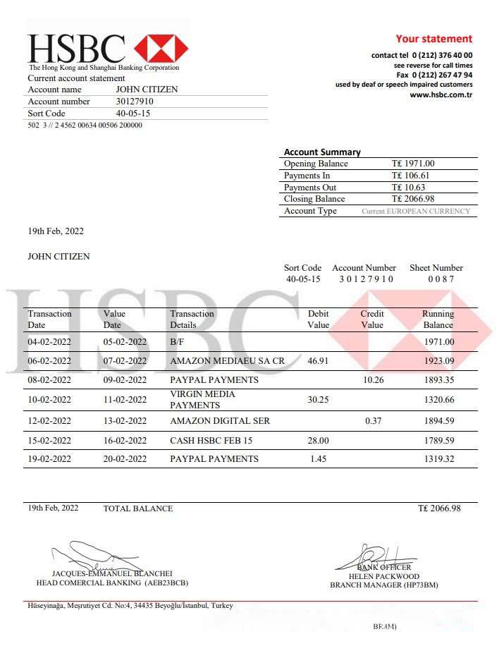 Turkey HSBC bank statement download template file