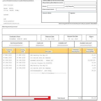 UAE Abu Dhabi Bank Alfalah statement Word and PDF template download template file
