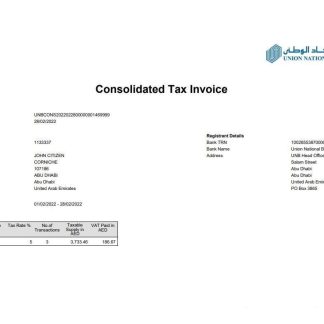 UAE Abu Dhabi Union National bank statement 2 pages download template file