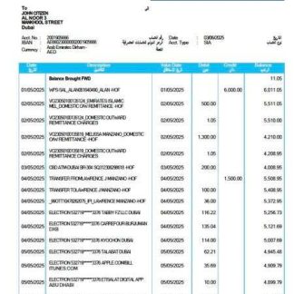 UAE Commercial Bank of Dubai statement of account Word and PDF template download template file