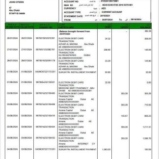 UAE Duabi Islamic bank statement 3 ?C 6 months Word and PDF example download template file