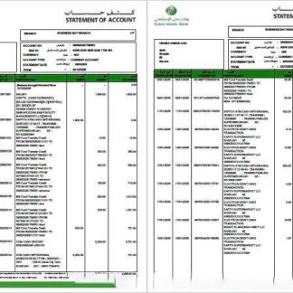 UAE Dubai Islamic Bank statement of account Word and PDF template, 2 pages download template file