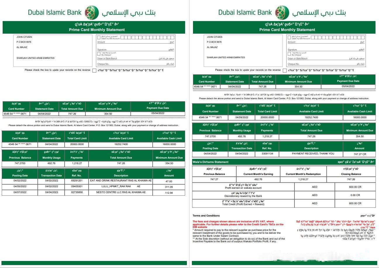 UAE Dubai Islamic bank statement template in Word and PDF format in Arabic language, 3 pages download template file