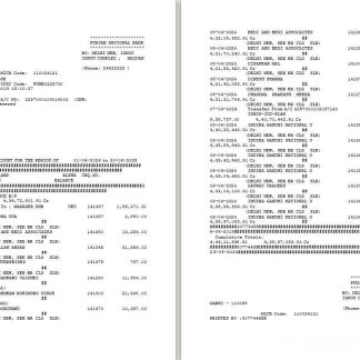 UAE Dubai PNB bank statement Word and PDF template, 2 pages download template file