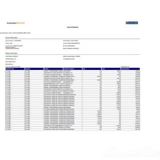 UAE Emirates NBD account statement Word and PDF template, version 2 download template file