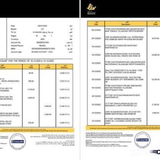 UAE Liv. Digital Bank statement of account Word and PDF template, 2 pages download template file