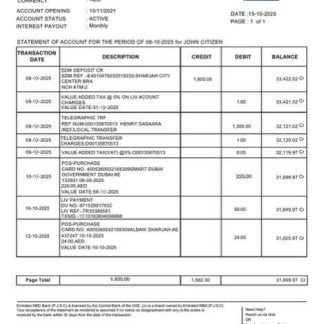 UAE Liv. Digital Bank statement of account Word and PDF template download template file