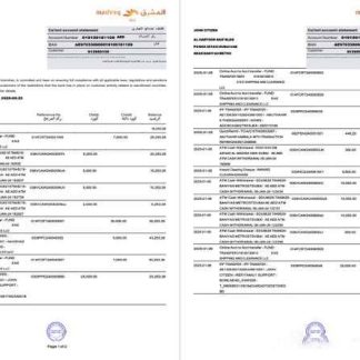 UAE Mashreq account statement Word and PDF template, 2 pages download template file