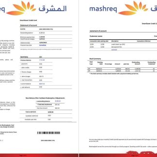UAE Mashreq bank statement 4 pages download template file