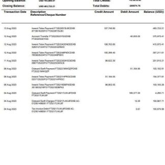 UAE NBF bank statement Word and PDF template download template file