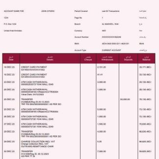 UAE Rakbank Elite bank statement Word and PDF template download template file