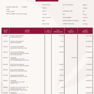 UAE Rakbank Elite bank statement Word and PDF template w download template file