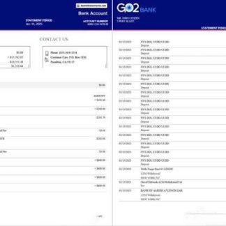 UK GO2 bank statement Word and PDF template, 2 pages download template file