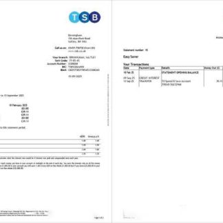 UK TSB Bank account statement Word and PDF template, 2 pages download template file