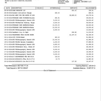 Bangladesh City Bank statement Word and PDF example download template file