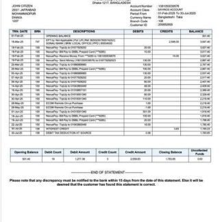 Bangladesh Dutch Bangla Bank Limited account statement Word and PDF template download template file