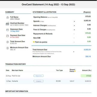 USA 1ONE CARD statement Word and PDF template download template file