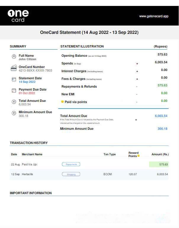 USA 1ONE CARD statement Word and PDF template download template file