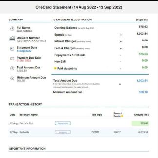 USA 1One Card statement Word and PDF template w download template file