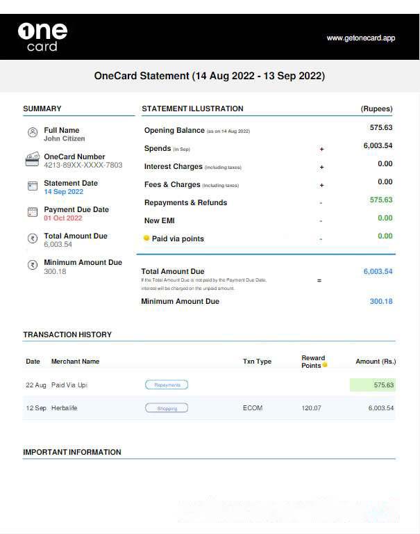 USA 1One Card statement Word and PDF template w download template file