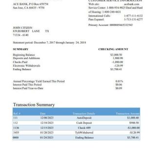 USA ACE bank statement Word and PDF template download template file