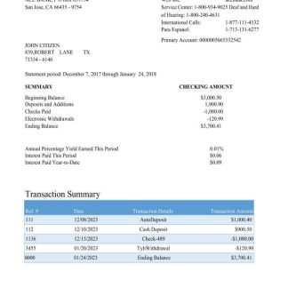 USA ACE bank statement Word and PDF template scr download template file